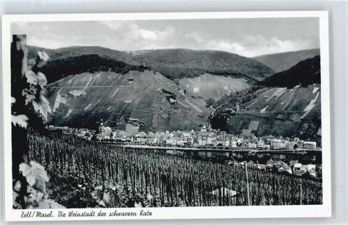 Zell