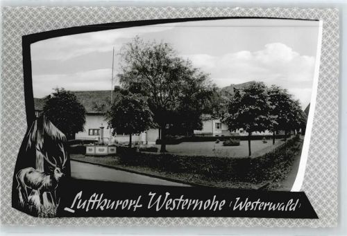 Westernohe