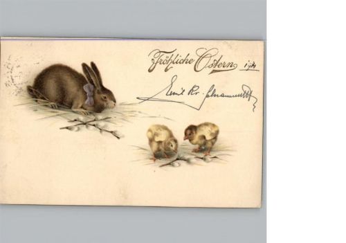 Küken, Hase