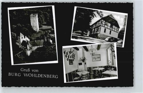 Holle Fliegeraufnahme Wohldenberg