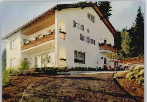 Bodenmais Pension am Königshang