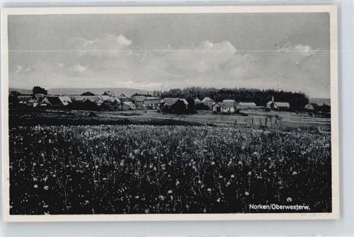 Norken