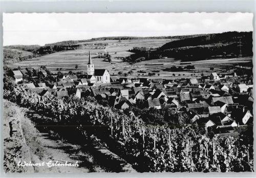 Erlenbach