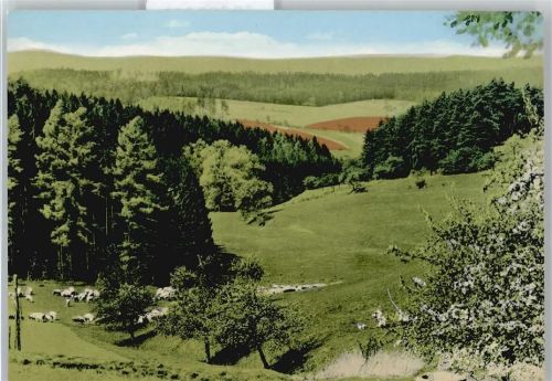 Birkenfeld