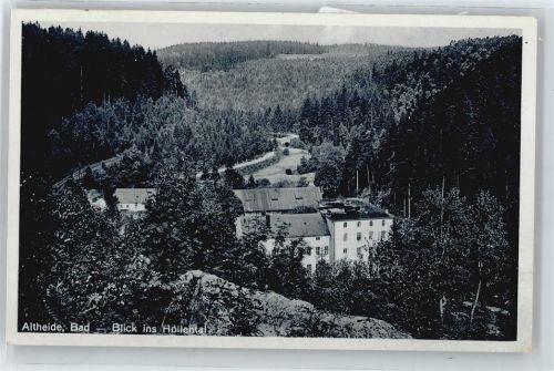 Bad Altheide Berg Wald Haus Tal