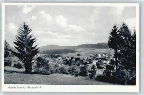 Gladenbach Panorama Baum Feld