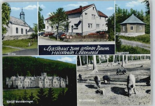 Hesselbach Gasthaus zum grünen Baum , Jagdhütte