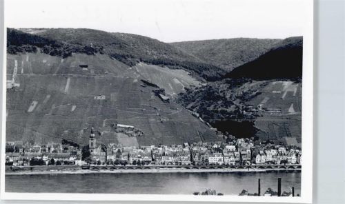 Zell Foto