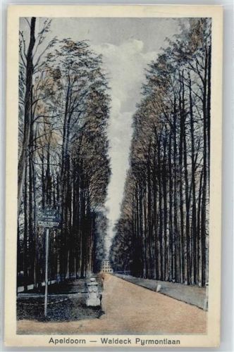 Apeldoorn Wald Allee