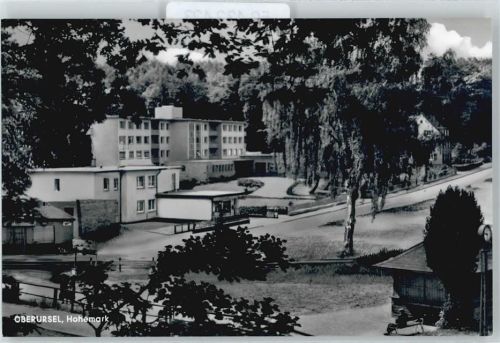 Oberursel Baum Straße Haus