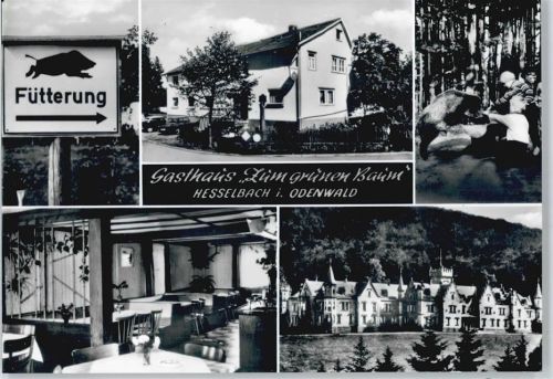 Hesselbach Gasthaus Pension zum grünen Baum