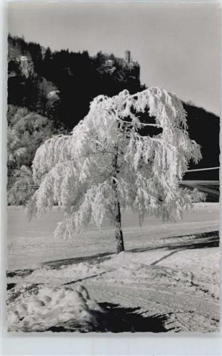 Honau Traifelberg , Winter-Karte