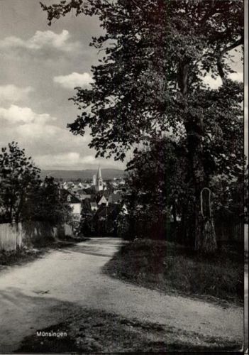 Münsingen