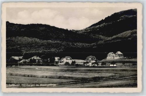 Steinbergen