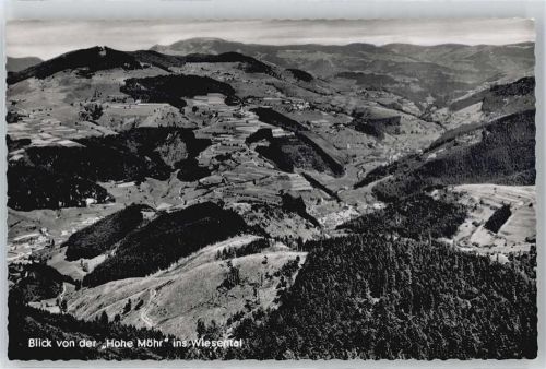 Schopfheim Berg Feld Baum Panorama