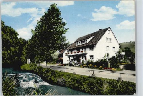 Oberharmersbach Pension Haus Bilharz