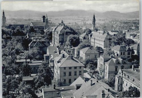 Zittau Haus Baum Straße