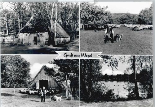 Wesel Gaststätte, Pension Bienenkorb