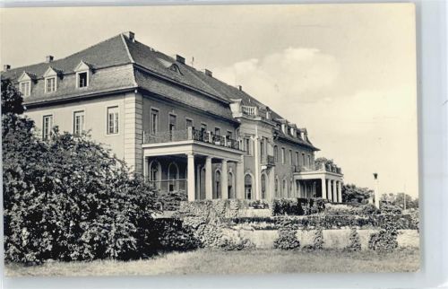 Bärenklau