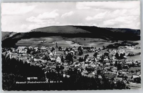 Neustadt Berg Feld Haus Baum Gesamtansicht
