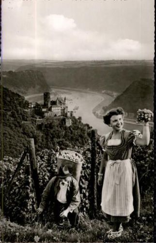 Weinlese