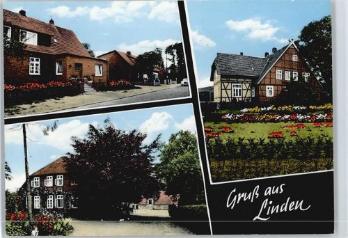 Linden
