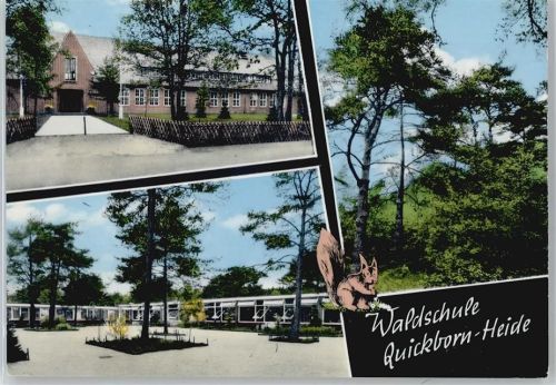 Quickborn Haus Baum Zaun