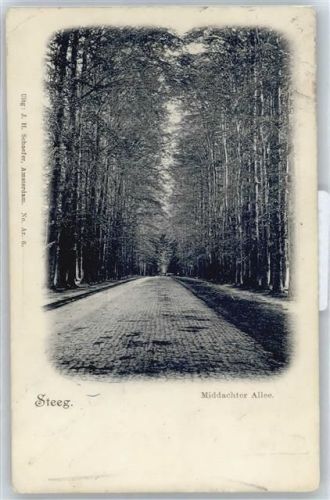 De Steeg Middachter Allee