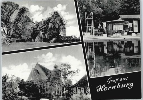 Hornburg Schwimmbad Sprungbrett Haus Baum