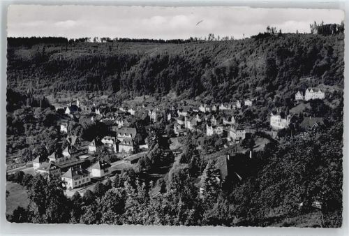 Neuenbürg