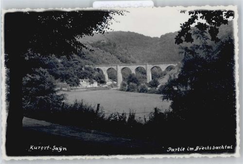 Sayn Brücke, See
