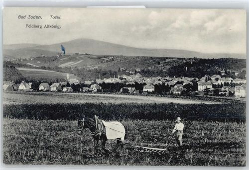 Bad Soden