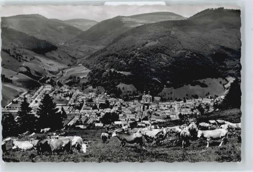 Todtnau
