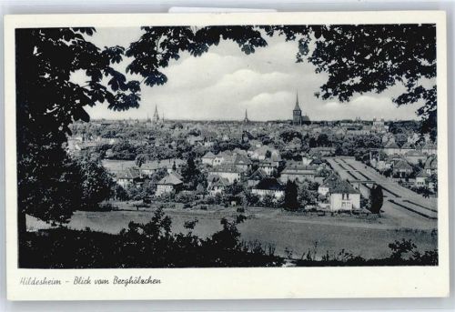 Hildesheim Panorama
