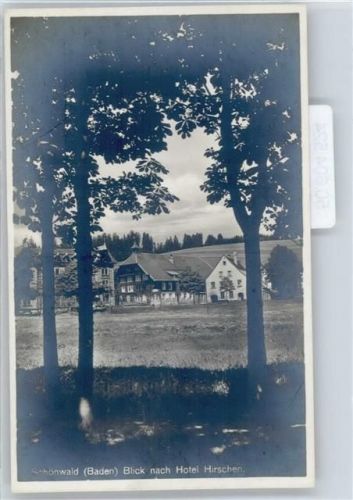 Schönwald Hotel Hirschen