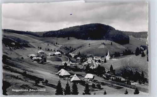 Muggenbrunn Panorama Berg