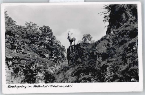 Falkensteig Hirschsprung