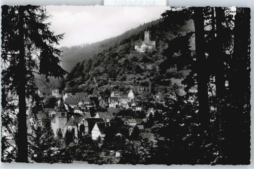 Bad Liebenzell Berg Panorama