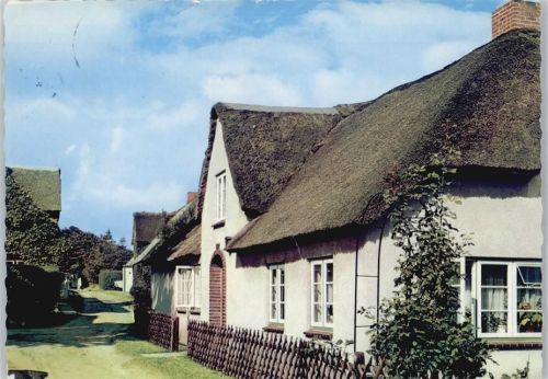 Nebel Friesenhaus