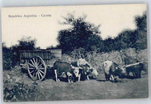 Argentinien , Ochsengespann
