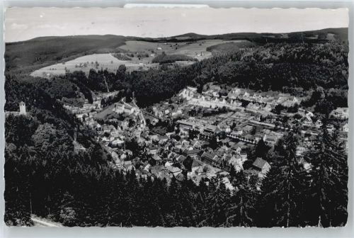 Triberg Luftaufnahme