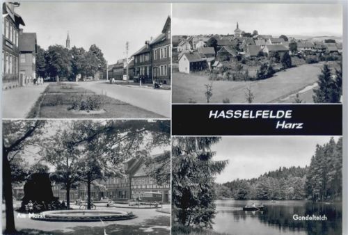 Hasselfelde Markt, Siedlung, Teich