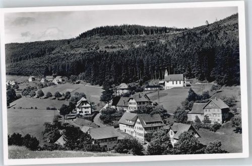 Baiersbronn Gasthof Pension Waldlust Panorama