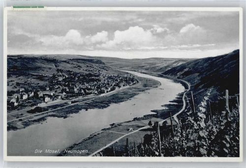 Neumagen Panorama