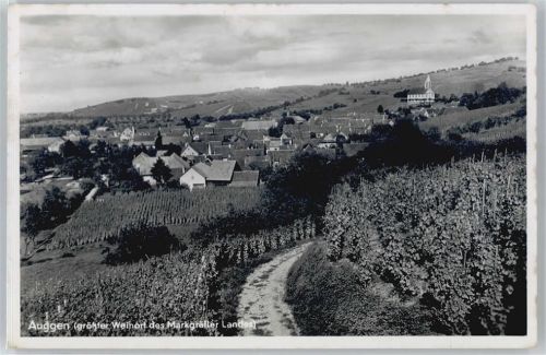 Auggen Teilansicht, Weinanbau