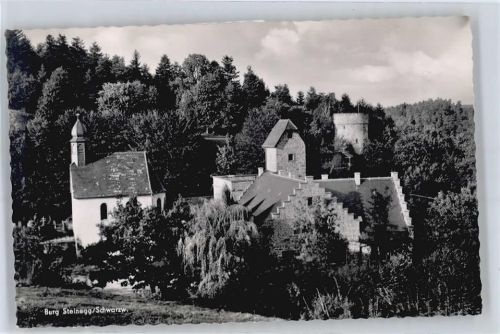 Steinegg Burg