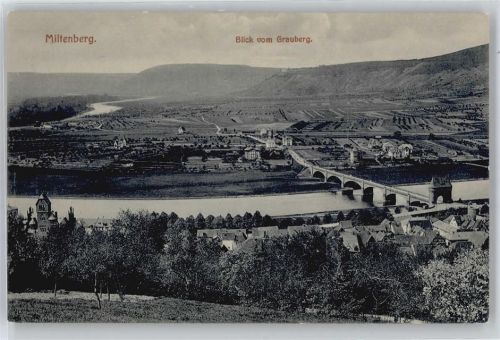 Miltenberg Gesamtansicht