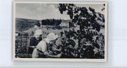 Haardt Wein