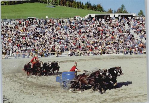 Gomadingen Landgestüt Marbach, Gestüts-Gasthof, Pferd