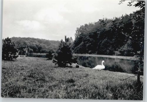 Bünde See,S chwan